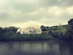 -吴淞炮台湾湿地森林公园烧烤区