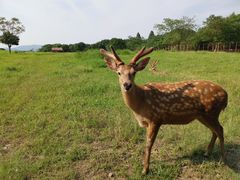 -良渚古城遗址公园