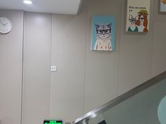 -瑞鹏宠物医院·眼科·皮肤·中兽医(大悦城分院)