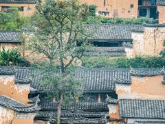 -杨家堂村