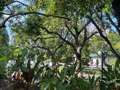 -溪岸路花鸟市场