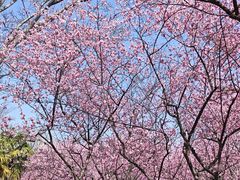 -白塘生态植物园