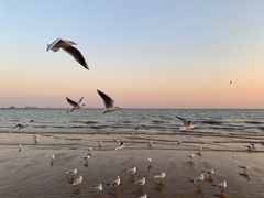 -金梦海湾浴场