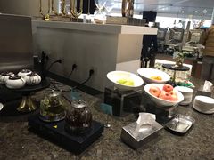 -虹桥机场国航贵宾室v8