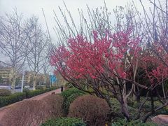 -山东外贸职业学院