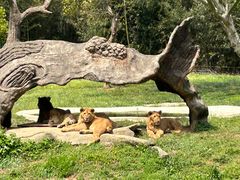 -杭州野生动物世界