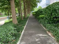 -后襄河公园
