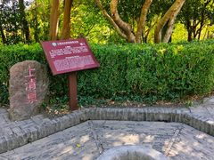 -上海佘山国家森林公园天马山园