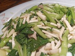 -饺子功·东北记忆·锅包肉(电厂路店)