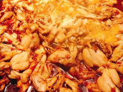 牛蛙火锅-老天桥蛙炉火锅(姑苏总店)