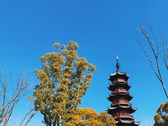 -龙华寺