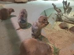 -正佳雨林生态植物园