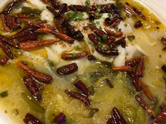 -九毛九西北菜(盈信广场店)