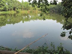 IMG_0648-茂德公草堂