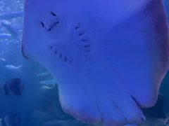 -左海海底世界