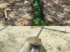 -新疆天山野生动物园