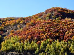-塞罕坝国家级自然保护区