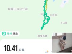 -广州市帽峰山景区