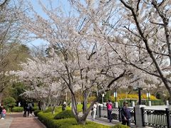 -大连植物园