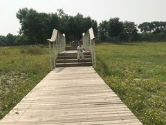 -东郊湿地公园
