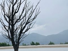 -玉湖村