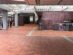 -香港大学