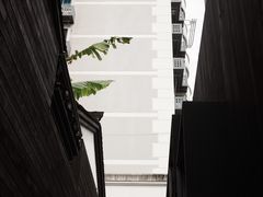 -觀芷隐轩