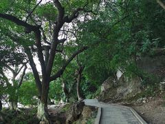 -抚仙湖禄充风景区
