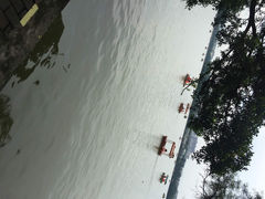 iphone_upload_pic-惠州西湖