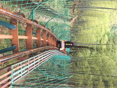 藏龙百瀑-藏龙百瀑风景区