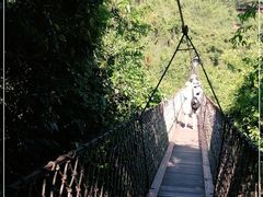 -亚龙湾热带天堂森林公园