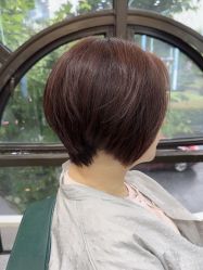 -秦·专注剪发