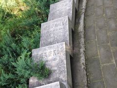 -北京麋鹿生态实验中心