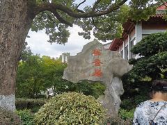 -西湖游船