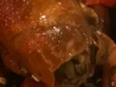 -虎虎龙虾大排档(双井店)