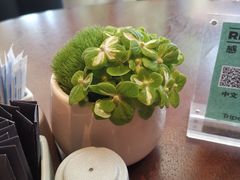 -上海虹桥祥源希尔顿酒店
