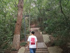 -赭山公园