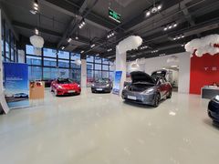 -TESLA 特斯拉(深圳观澜特斯拉直营钣喷中心)
