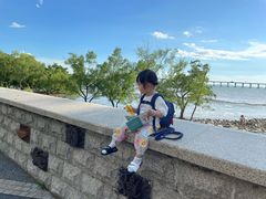 -宝安西湾红树林湿地公园