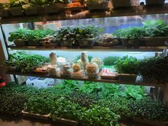 -鲜货俚鲜火锅(青果路店)