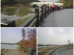 -海珠湖公园