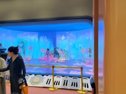 -超级奈尔宝SUPER NEOBIO(杭州星光店)