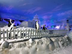 -世界之窗阿尔卑斯冰雪世界