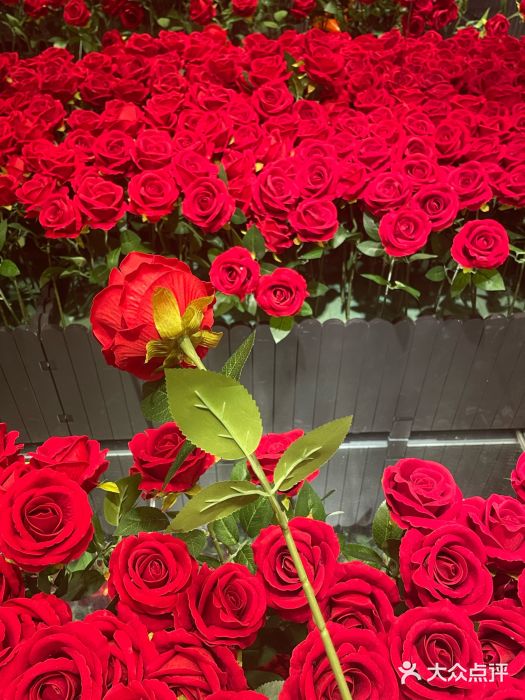 上海梵高星空艺术馆(南京路旗舰店)图片