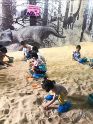 -恐龙探索乐园(磁器口店)