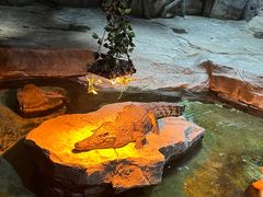 -泉城欧乐堡海洋极地世界