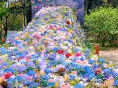 -上海共青森林公园