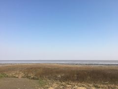 -南汇嘴观海公园