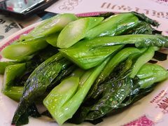 -憶廟街 X 沙角邨(太古城店)