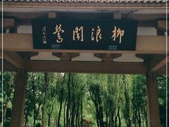 -柳浪闻莺公园